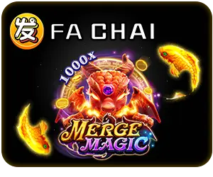 FA CHAI