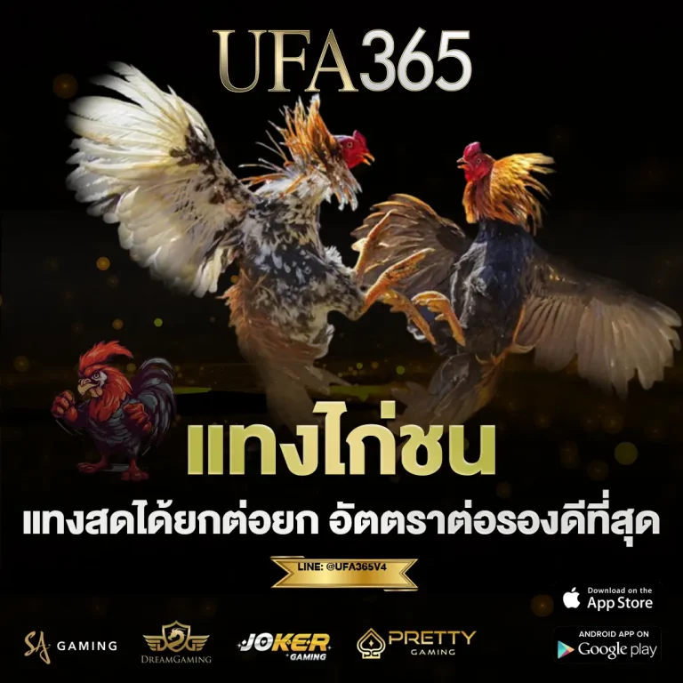 แทงไก่ชน