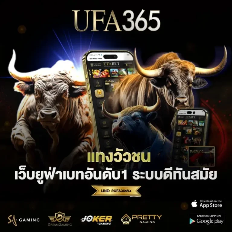 แทงวัวชน